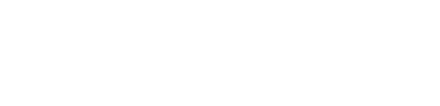 capito logo blanc simple